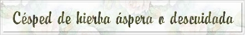 Césped de hierba áspera o descuidada