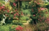 Muchas flores