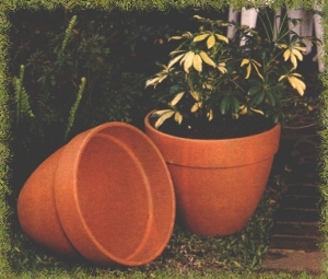 Macetas terracota. Dimetro 45 cm.