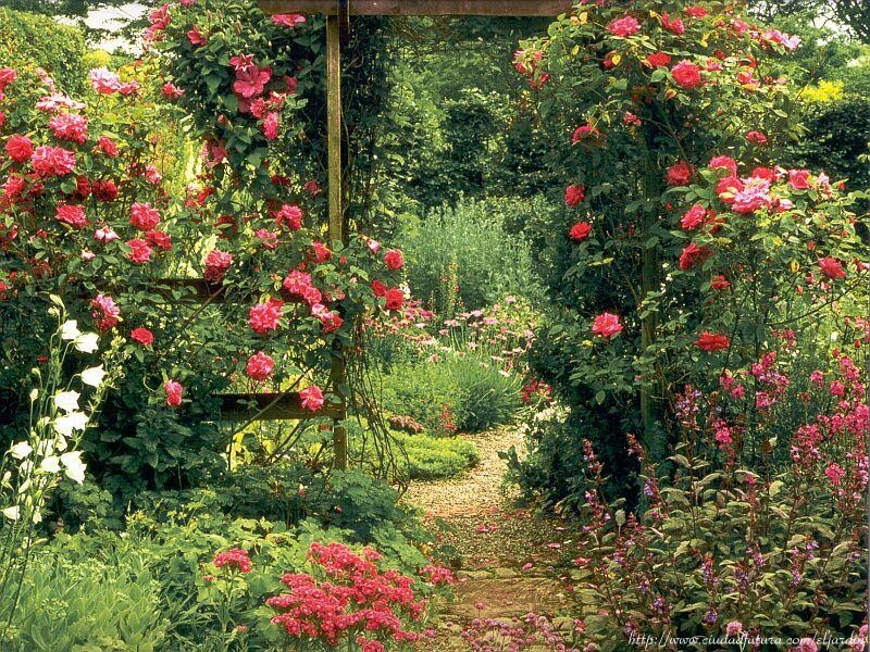 Muchas flores...