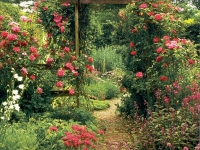 Muchas flores...