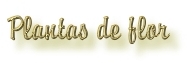 Plantas de flor