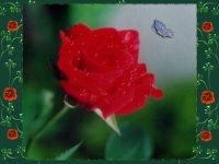CM - Creaciones Mar