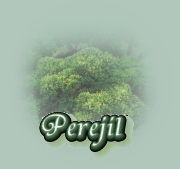 Hierbas - Perejil