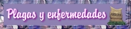 Plagas y enfermedades