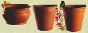 Maceta bomba (dimetro 14 cm). Maceta comn (dimetro 16 cm). Maceta italiana (dimetro 14 cm).